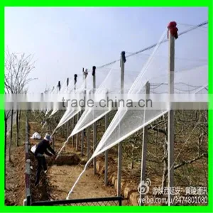 HDPE Anti Hail Protection Net Apple Tree Net thumbnail-5