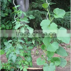 High Quality Spiral Plant Stake thumbnail-6
