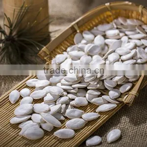 2014-crop Bulk Planting Snow White Pumpkin Seeds With High Quality thumbnail-6