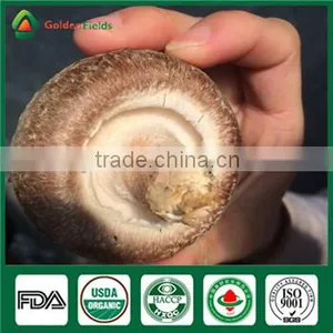 Edibal Mushroom Cultivation China Supplier Organic Fresh and Dried Shiitake Mushroom thumbnail-5