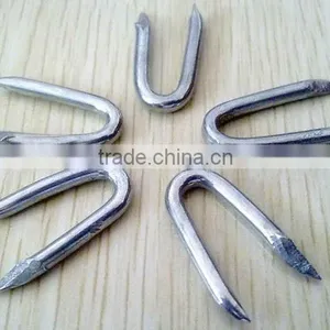 Hot-dipped Galvanized Fence Staples / U-Nails/ U Type Nails thumbnail-5