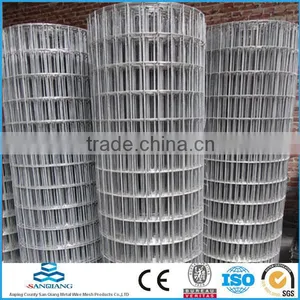SQ-304 Welded Wire Mesh (Anping Manufacture) thumbnail-1