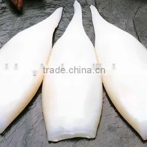Illex Frozen Squid Tube IQF Factory thumbnail-3