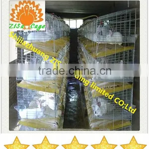 Automatic Water System Rabbit Cage Farm Equipments thumbnail-1