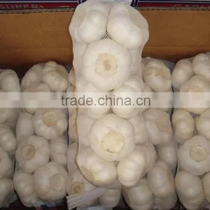 Chinese Pure White Garlic thumbnail-3