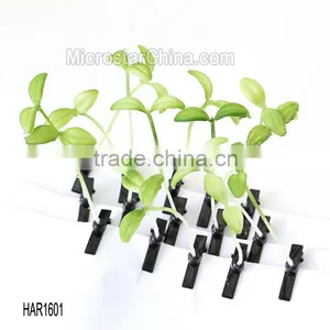 Hot Sale Newest Lovely Hair Accessories Bean Sprout Hairclips Artificial Plant Headwear Antenna Hairpins thumbnail-5
