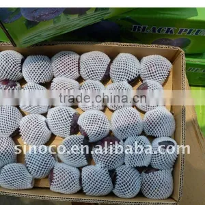 2011 Super Fresh Black Plum thumbnail-1