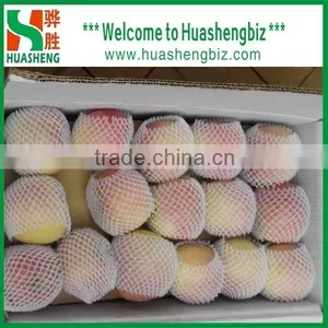 2016 Freshest Crop Fresh Fuji Apple thumbnail-4