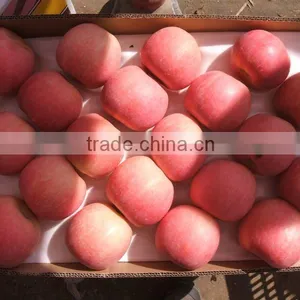 Fresh Fuji Apple thumbnail-1