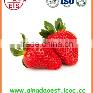 New Crop High Quality Chinese Fresh Strawberry thumbnail-1
