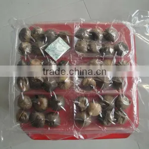 Special Supply for Supermarket Healty Food Clove Balck Garlic Best Quality thumbnail-3