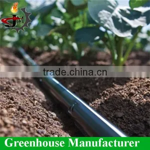 Economica Multi-span Polycarbonate Greenhouse Kits Wholesale thumbnail-5