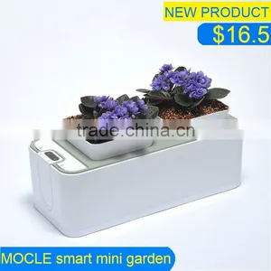 Flowers Pot With Trays thumbnail-1