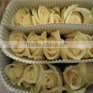 Cheap Rose Flower Buy From Flower Planting Base in China thumbnail-2
