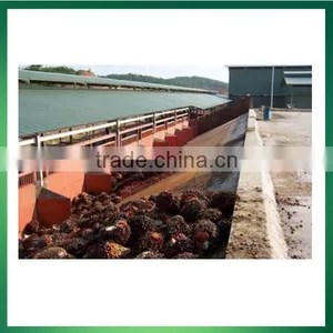 1-3000TPD Palm Oil Processing Line/plant/ Factory/machine/machinery/production Line With ISO&CE&BV thumbnail-3