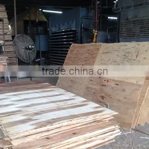 High Quality Sanding Two Sides Core for Making Good Matply/semi-finished Plywood thumbnail-3