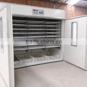 2016 Top Weekly Middle Size 4224 Eggs Incubator/ Chicken Eggs Incubator /duck Goose Ostrich Incubator thumbnail-1
