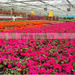 Large Multi-span Fiberglass Commercial Greenhouse,garden Greenhouse,flower Greenhouses thumbnail-3