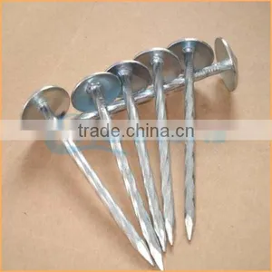 Top Quality Best Quality and Cheaper Big Head Roofing Nails Trusted Chuanghe Suppliers From Com thumbnail-6
