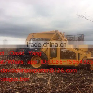 China Bell 125 4 Cylinders Sugarcane Loader Sugarcane Harvester Machine/sugarcane Harvest Machine thumbnail-2