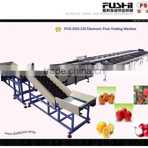 High Quality Onion Washing Waxing and Sorting Machine thumbnail-2