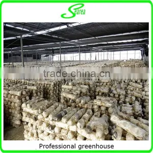 Mushroom Growing Tunnels thumbnail-2