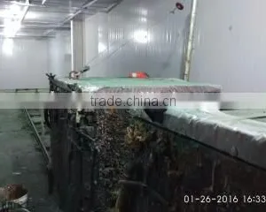 Hebei Huiya Automatic Foaming Machine With Floral Foam Tachnology thumbnail-4