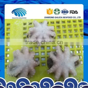 Frozen Octopus Ocellatus Flower Type thumbnail-1