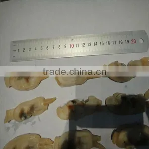 Seafood/the Raozr thumbnail-1