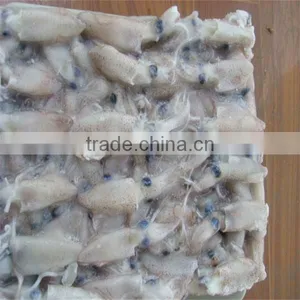 Seafood and Iqf Frozen Squid thumbnail-1