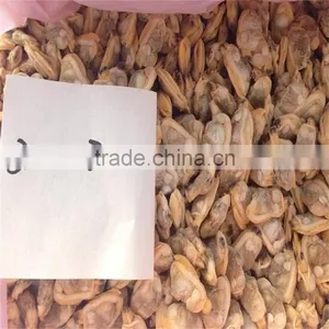 Frozen Boiled Short-necked Clam Meat thumbnail-3