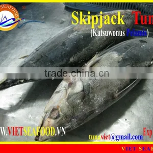 FROZEN W/R SKIPJACK TUNA thumbnail-1