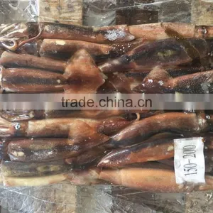 New Landing Seafrozen Wholesale Argentina Squid for Bait thumbnail-2