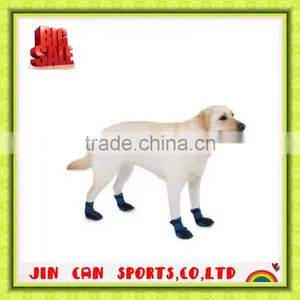2014 High Quality Pet Circle Pet Accessories With Logo thumbnail-1