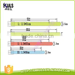 Pet Accessories Wholesale Dog Collar With 2 Differrent Belt thumbnail-2