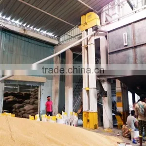 Indian Soyabean Supplier thumbnail-3