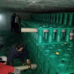 Rainwater Collection Tanks for Sale thumbnail-1