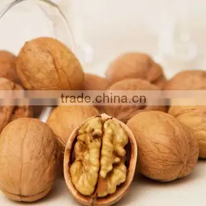 Walnut in Shell With Good Quality From China thumbnail-1