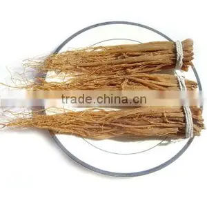 Red Ginseng Tails,6 Years thumbnail-1