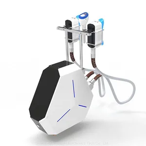 New Frozen Weight Loss 2021 New Product Frozen Fat Thawing Machine Weight Loss Slimming Machine thumbnail-1