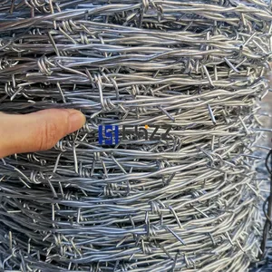 Hot Dipped Galvanized Double Twisted Seel Barbed Wire for High Security Chain Link Fence thumbnail-5