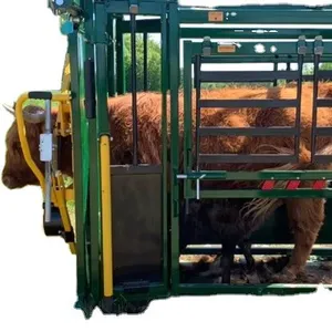 2025 New Mold Steel Tube Foot Trim Mobile Cattle Handling Crush thumbnail-2