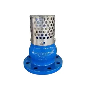 JIS/ANSI/DIN PN16 Cast Ductile Iron Flange Check Foot Valve With Stainless Steel Filter Water Pump thumbnail-1
