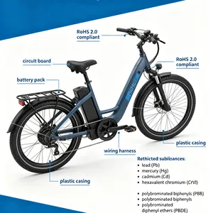 Electric Bicycles Exported to the EU Must Comply With RoHS 2.0 thumbnail-1