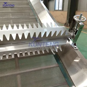 Continuous Mesh Belt Ginger Dehydrator Ginger Drying Machine Turmeric Dryer EPC thumbnail-4