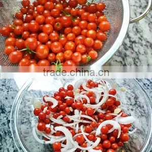 Best Selling PICKLED CHERRY TOMATOES thumbnail-1