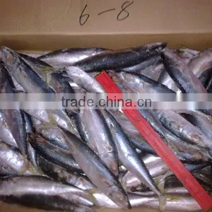 Whole Round Scad Fish thumbnail-1