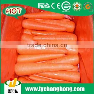 2014 Fresh Carrot for Hot Sale thumbnail-1