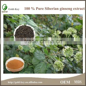 High Quality Siberian Ginseng Extract for Long Time Sex thumbnail-1