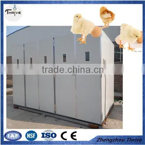 Promotion Price Small Sized Bird Egg Incubator/chick Incubator Quality Choice thumbnail-1